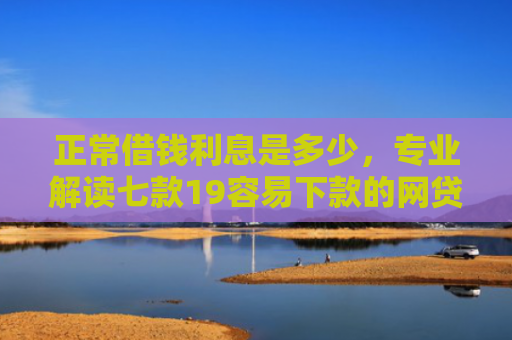 正常借钱利息是多少，专业解读七款19容易下款的网贷口子