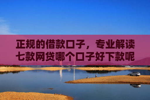 正规的借款口子，专业解读七款网贷哪个口子好下款呢