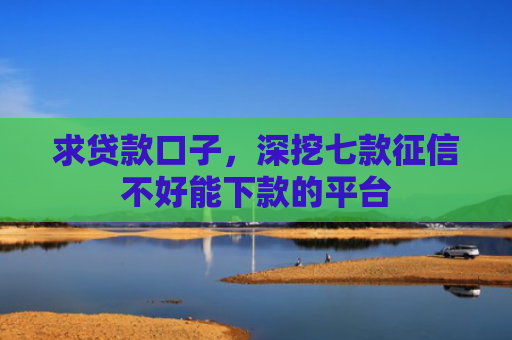 求贷款口子，深挖七款征信不好能下款的平台
