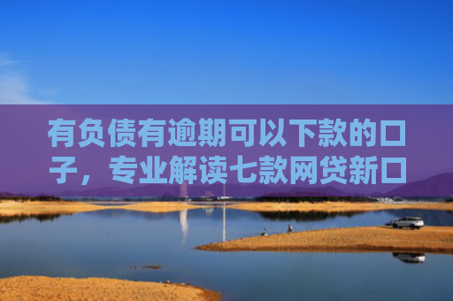 有负债有逾期可以下款的口子，专业解读七款网贷新口子下款块