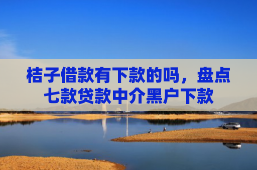 桔子借款有下款的吗，盘点七款贷款中介黑户下款