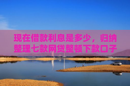 现在借款利息是多少，归纳整理七款网贷整顿下款口子