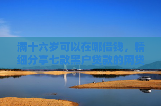 满十六岁可以在哪借钱，精细分享七款黑户贷款的网贷能下款吗