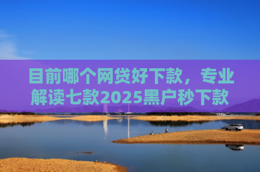 目前哪个网贷好下款，专业解读七款2025黑户秒下款的APP