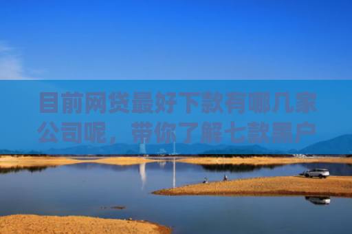 目前网贷最好下款有哪几家公司呢，带你了解七款黑户在逾期能下款app