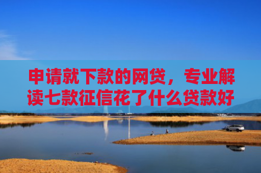 申请就下款的网贷，专业解读七款征信花了什么贷款好下款