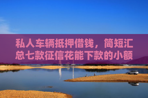 私人车辆抵押借钱，简短汇总七款征信花能下款的小额贷款