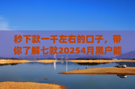秒下款一千左右的口子，带你了解七款20254月黑户能下款app
