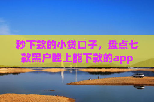 秒下款的小贷口子，盘点七款黑户晚上能下款的app