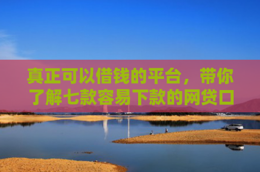 真正可以借钱的平台，带你了解七款容易下款的网贷口子高