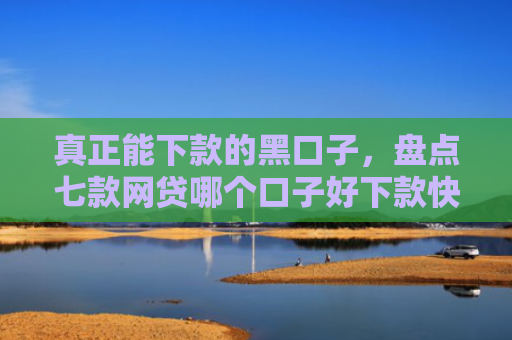 真正能下款的黑口子，盘点七款网贷哪个口子好下款快点