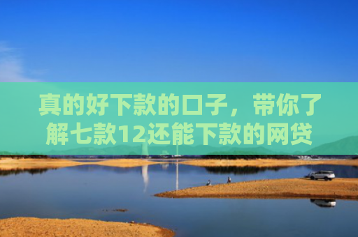 真的好下款的口子，带你了解七款12还能下款的网贷口子
