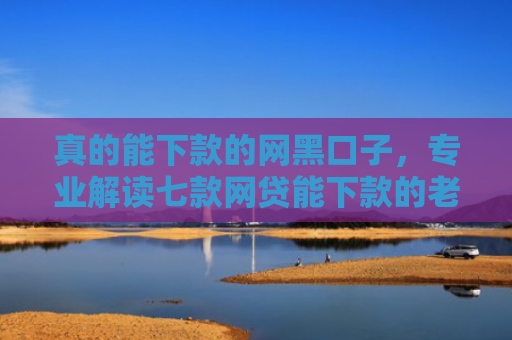 真的能下款的网黑口子，专业解读七款网贷能下款的老口子