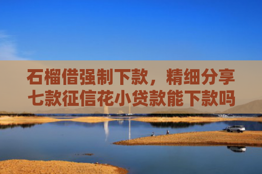 石榴借强制下款，精细分享七款征信花小贷款能下款吗