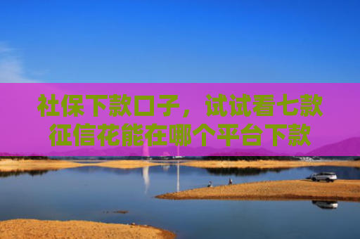 社保下款口子，试试看七款征信花能在哪个平台下款