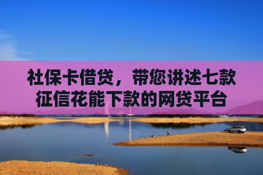 社保卡借贷，带您讲述七款征信花能下款的网贷平台