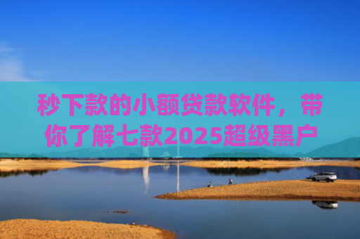 秒下款的小额贷款软件，带你了解七款2025超级黑户下款app