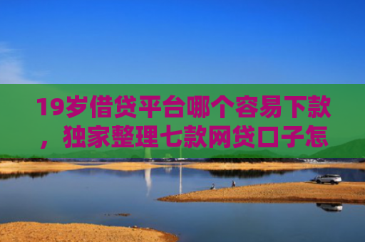19岁借贷平台哪个容易下款，独家整理七款网贷口子怎样下款