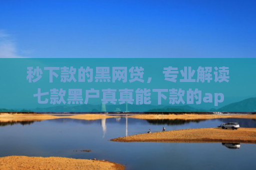 秒下款的黑网贷，专业解读七款黑户真真能下款的app