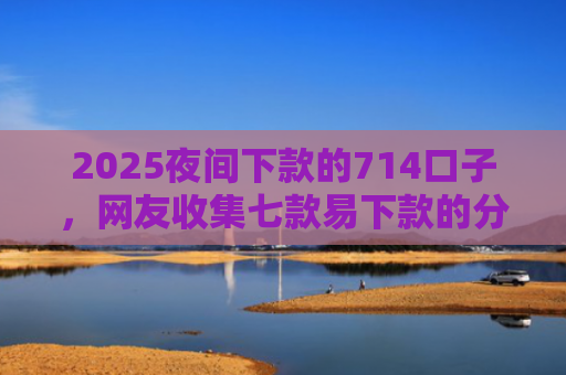 2025夜间下款的714口子，网友收集七款易下款的分期网贷口子