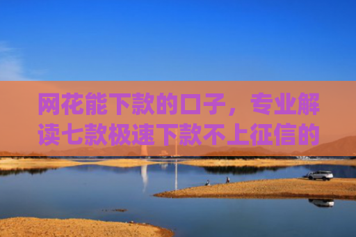 网花能下款的口子，专业解读七款极速下款不上征信的app有什么