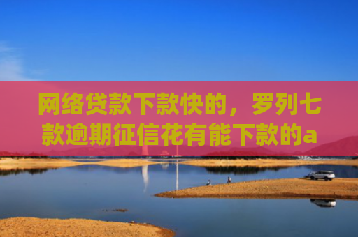 网络贷款下款快的，罗列七款逾期征信花有能下款的app吗
