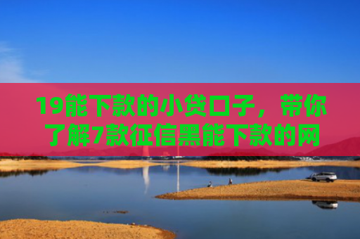 19能下款的小贷口子，带你了解7款征信黑能下款的网贷口子