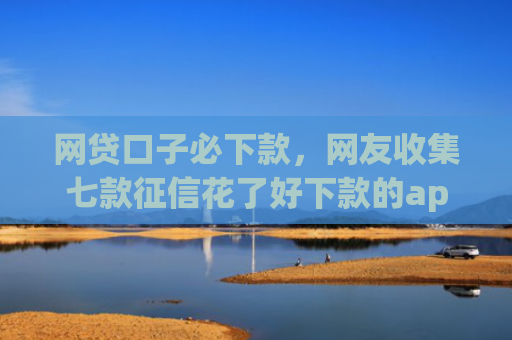 网贷口子必下款，网友收集七款征信花了好下款的app
