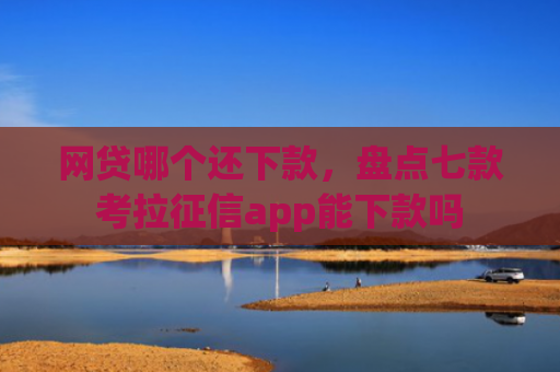 网贷哪个还下款，盘点七款考拉征信app能下款吗