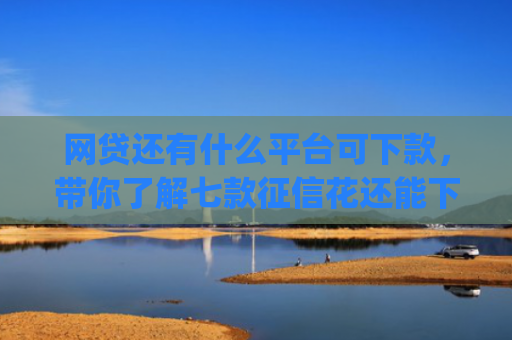 网贷还有什么平台可下款，带你了解七款征信花还能下款的app