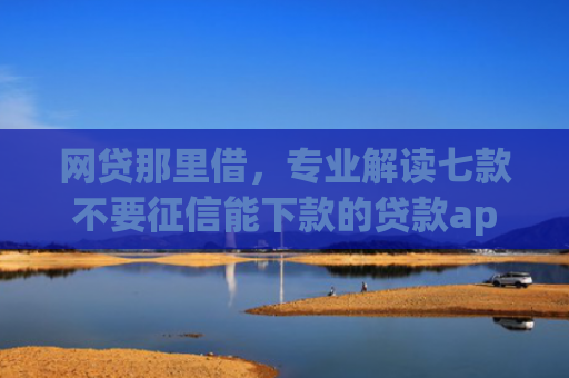 网贷那里借，专业解读七款不要征信能下款的贷款app