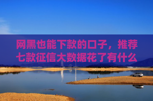 网黑也能下款的口子，推荐七款征信大数据花了有什么app能下款