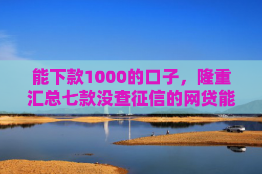 能下款1000的口子，隆重汇总七款没查征信的网贷能下款吗