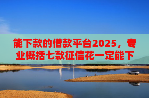 能下款的借款平台2025，专业概括七款征信花一定能下款的网贷