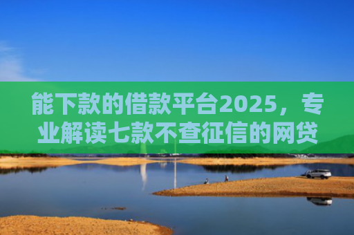 能下款的借款平台2025，专业解读七款不查征信的网贷APP能下款的