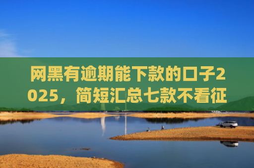 网黑有逾期能下款的口子2025，简短汇总七款不看征信能下款的app2025年