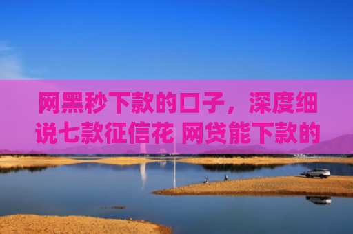 网黑秒下款的口子，深度细说七款征信花 网贷能下款的App