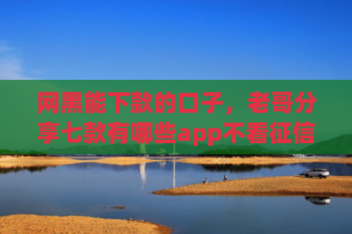 网黑能下款的口子，老哥分享七款有哪些app不看征信可以下款的