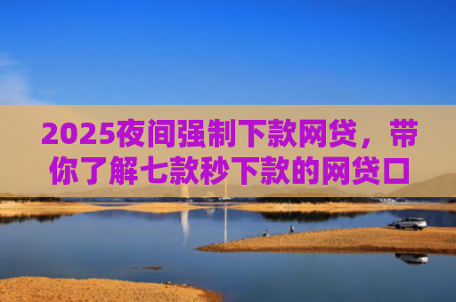 2025夜间强制下款网贷，带你了解七款秒下款的网贷口子大全