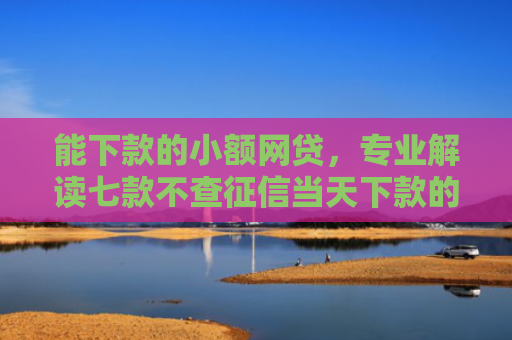 能下款的小额网贷，专业解读七款不查征信当天下款的平台