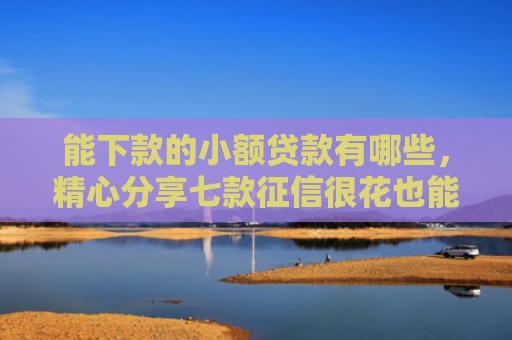 能下款的小额贷款有哪些，精心分享七款征信很花也能稳下款的正规网贷