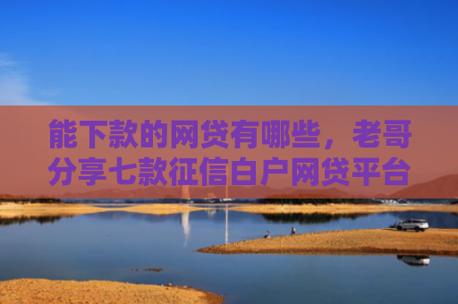 能下款的网贷有哪些，老哥分享七款征信白户网贷平台哪些好下款快