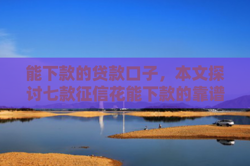 能下款的贷款口子，本文探讨七款征信花能下款的靠谱网贷