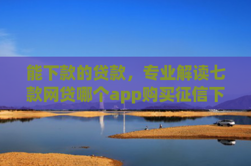 能下款的贷款，专业解读七款网贷哪个app购买征信下款的6