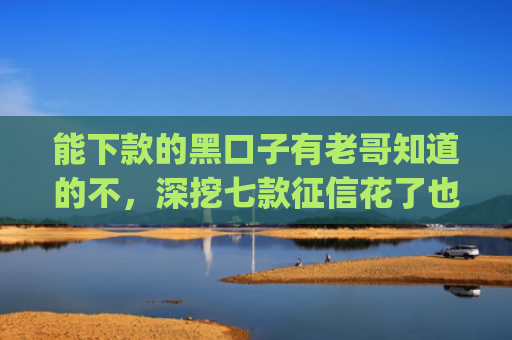 能下款的黑口子有老哥知道的不，深挖七款征信花了也能下款的网贷app