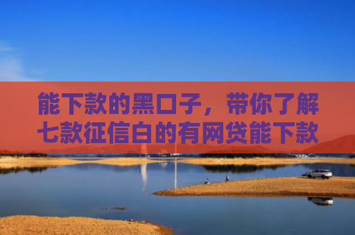 能下款的黑口子，带你了解七款征信白的有网贷能下款吗