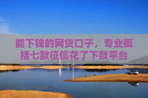 能下钱的网贷口子，专业概括七款征信花了下款平台