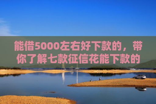能借5000左右好下款的，带你了解七款征信花能下款的大额网贷