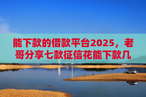能下款的借款平台2025，老哥分享七款征信花能下款几百的网贷