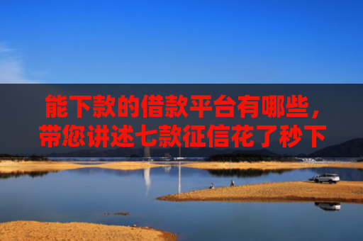 能下款的借款平台有哪些，带您讲述七款征信花了秒下款网贷能通过吗